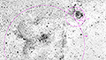 IC 1795 + IC 1805 - 1989 x 15s (8,29h) - Gain 60 - 05./07.11.2025 - Turtle Star Observatory / Deutschland<