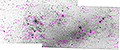 Die Gro&szlig;e Magellanwolke - 1980 x 15s (8,25h) + 1618 x 15s (6,83h) - Gain 60 - 17.04./25.04./26.09./27.09.2025 - Prinspoort + Calvinia + Gariep + Clarens / S&uuml;dafrika