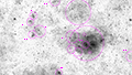 M 8 - 108 x 15s (0,45h) - Gain 60 - 26.09.2025 - Clarens / S&uuml;dafrika