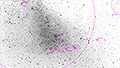 NGC 261 - 941 x 15s (3,92h) - Gain 60 - 22./24.09.2025 - Clarens / S&uuml;dafrika
