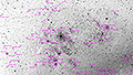 NGC 2070 - 1638 x 15s (6,83h) - Gain 60 - 17./25.04.2025 - Prinspoort + Calvinia / S&uuml;dafrika