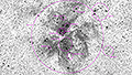NGC 3372 - 1854 x 15s (7,73h) - Gain 60 - 20./22.04.2025 - Calvinia + Springbok / S&uuml;dafrika