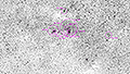 NGC 3579 - 1962 x 15s (8,18h) - Gain 60 - 27.04.2025 - Mount Ceder / S&uuml;dafrika