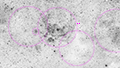 NGC 6357 - 1099 x 15s (4,58h) - Gain 60 - 16./22.09.2025 - McGregor + Graaff-Reinet / S&uuml;dafrika