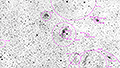 NGC 7635 - 1990 x 15s (8,29h) - Gain 60 - 05./07.11.2025 - TSO / Deutschland