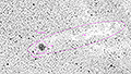 IC 5146 - 762 x 30s (6,35h) - Gain 60 - 23.08.2026 - Turtle Star Observatory / Deutschland