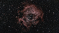 NGC 2237-2239 + NGC 2246 - 243 x 30s (2,03h) - Gain 60 - Filter: Astro - 25.12.2025 - Turtle Star Observatory / Deutschland