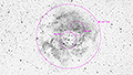 NGC 2237-2239 + NGC 2246 - 243 x 30s (2,03h) - Gain 60 - Filter: Astro - 25.12.2025 - Turtle Star Observatory / Deutschland