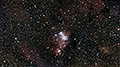 NGC 2264 - 337 x 45s (4,21h) - Gain 60 - Filter: Astro - 21.01.2026 - Turtle Star Observatory / Deutschland