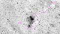 NGC 2264 - 337 x 45s (4,21h) - Gain 60 - Filter: Astro - 21.01.2026 - Turtle Star Observatory / Deutschland