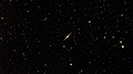 NGC 4565 - 588 x 30s (4,90h) - Gain 60 - Filter: Astro - 19.01.2026 - Turtle Star Observatory / Deutschland