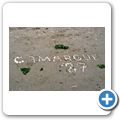 Camargue