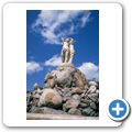 Montpellier - Brunnen "Les trois graces"