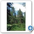 Dolomitenstra&szlig;e