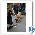 Salzburg - Begegnung auf dem Marktplatz