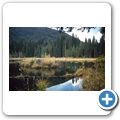 E. C. Manning Provincial Park