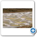 Spotted Lake