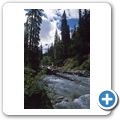 Glacier National Park - Illecillewaet River