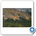 Icefield Parkway