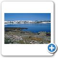 Hardangervidda - Halnefjorden