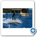 San Diego - Sea World - Delfin-Show