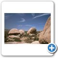 Joshua Tree National Monument - Quale Springs
