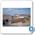 Petrified Forrest National Park - versteinertes Holz