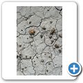 Petrified Forrest National Park - versteinertes Holz