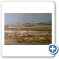 Petrified Forrest National Park - The Tepees