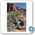Arches National Park - Skyline Arch