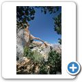 Arches National Park - Landscape Arch