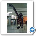 Denver - Museum of Natural History