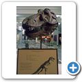 Denver - Museum of Natural History