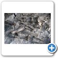 Dinosaur National Monument - Dinosaur Quarry