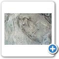 Dinosaur National Monument - Dinosaur Quarry