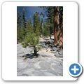 Devil's Postpile National Monument