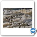 Yellowstone National Park - Mammoth Hot Springs