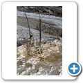 Yellowstone National Park - Mammoth Hot Springs
