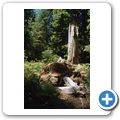 Olympic National Park