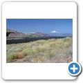 Columbia River Gorge - Blick auf Mt. Hood