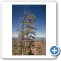 Lava Lands National Park - Lava Butte