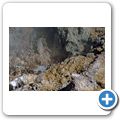 Lassen Volcanic National Park - Bumpass Hell