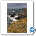 Pazifikk&uuml;ste bei Bodega Bay