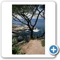 K&uuml;ste bei Monterey