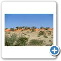 Sand Ridges (Kalahari-D&uuml;nen)
