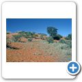 Sand Ridges (Kalahari-D&uuml;nen)