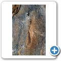 Der K&ouml;cherbaumwald bei Keetmanshoop