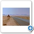 Namib W&uuml;ste - W&uuml;stenpferde