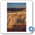 Auf der C14 durch die Namib W&uuml;ste