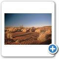 Auf der C14 durch die Namib W&uuml;ste